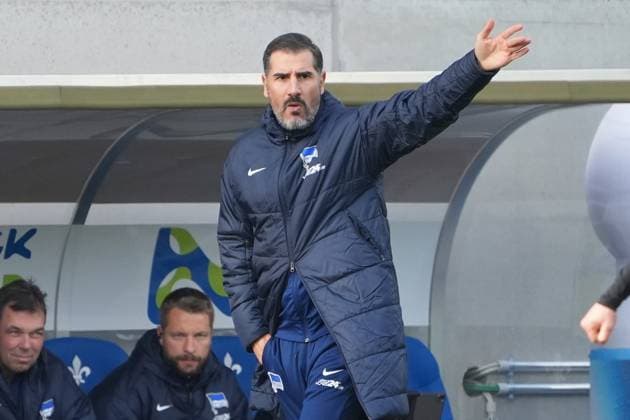 Trainer Cristian Fiel (Hertha BSC Berlin) - 09.11.2024 2. Bundesliga, Saison 24 25: SV Darmstadt 98 vs Hertha BSC Berlin, Stadion am Boellenfalltor, emonline, emspor,