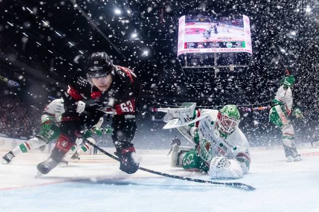 Bilder des Jahres 2024, Sport 11 November Sport Themen der Woche KW46 Sport Bilder des Tages 241116 Malmö Redhawks Fredrik Händemark oroar mot Rögles malvakt Arvid Holm under ishockeymatchen i SHL mellan Malmö Redhawks och Rögle den 16 november 2024 i Malmö. *** 241116 Malmö Redhawks Fredrik Händemark worries against Rögles goalkeeper Arvid Holm during the ice hockey match in SHL between Malmö Redhawks and Rögle on November 16, 2024 in Malmö  Copyright: PETTERxARVIDSON BB241116PA110