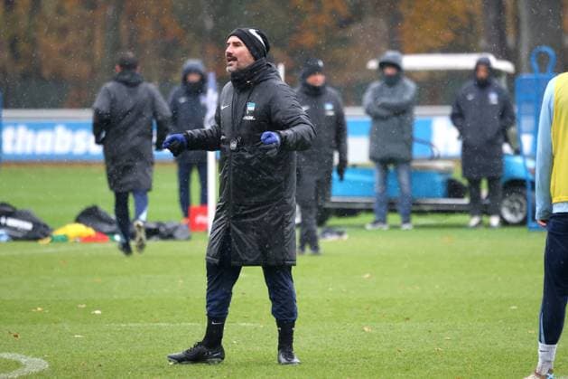 DEU, DFL, 2. FBL Hertha BSC, Training, 19.11.2024, Sportforum, Berlin, DEU, DFL, 2. FBL Hertha BSC, Training, im Bild Cheftrainer Cristian Fiel (Hertha BSC Berlin) DFL - regulations prohibit any use of Photographs as image sequences and or quasi-video Foto: Juergen Engler nordphoto GmbH