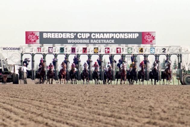 Archivbilder der Woche SPORT KW47 26.10.1996, Toronto, Ontario, CAN - Stalls are open for the Breeders Cup Juvenile Fillies. Woodbine racecourse. (Pferde, Jockeys, Start, Startmaschine, starten, abspringen, Startphase, Dirt, Dirttrack, Sand, Sandbahn, Galopp, Galopprennsport, Pferderennsport, Pferderennen, Galopprennen) 961026A622BreedersCupJuvenielFillies.JPG *** 26 10 1996, Toronto, Ontario, CAN Stables are open for the Breeders Cup Juvenile Fillies Woodbine racecourse horses, jockeys, start, starting machine, start, jump off, starting phase, dirt, dirt track, sand, sand track, gallop, horse racing, horse racing, horse racing, gallop racing 961026A622BreedersCupJuvenielFillies JPG