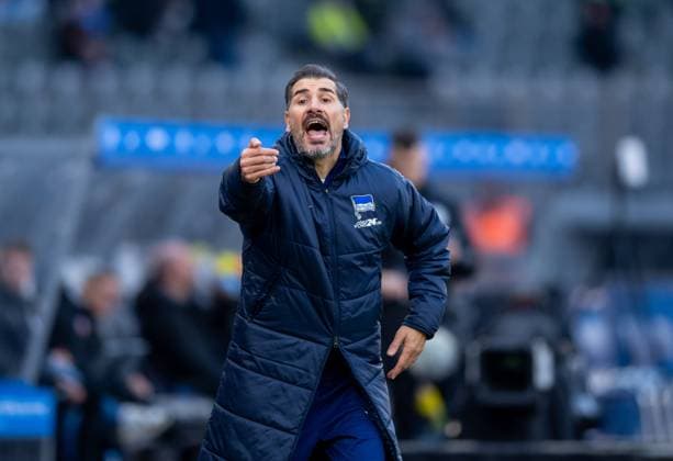 Fussball, Herren, Saison 2024 2025, 2. Bundesliga (13. Spieltag), Hertha BSC - SSV Ulm, Trainer Cristian Fiel (Hertha BSC), 23.11. 2024,