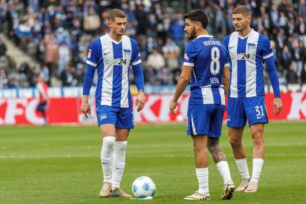 Berlin, 23.11.24, Fussball, 2.Bundesliga, 13. Spieltag, Hertha BSC - SSV Ulm 1846, Olympiastadion. Berlins Palko Dardai, Berlins Kevin Sessa und Berlins Marton Dardai stehen auf dem Platz. DFL regulations and DFB regulations prohibit any use of photographs as image sequences and or quasi-video, Foto: Andreas Gora Hertha BSC - SSV Ulm 1846