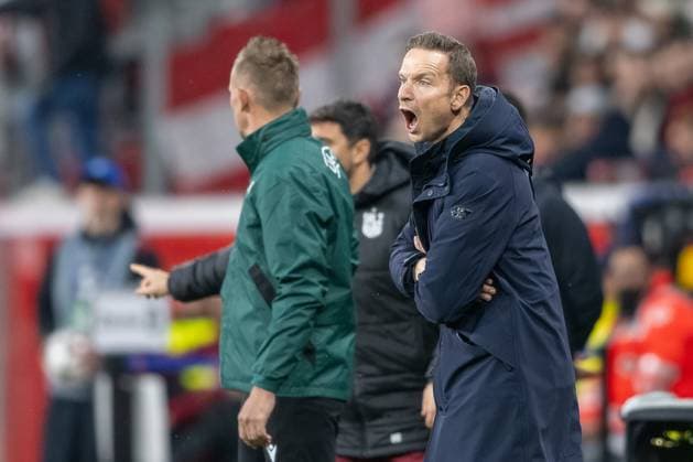 26.11.2024, Fussball: UEFA Champions League, Saison 2024 2025, Spieltag 05, Bayer 04 Leverkusen - FC Salzburg in der BayArena in Leverkusen. Pepijn Lijnders (Red Bull Salzburg, Trainer) gibt lautstark Anweisungen. Foto: Kirchner-Media TH Copyright: xKirchner-Media THx