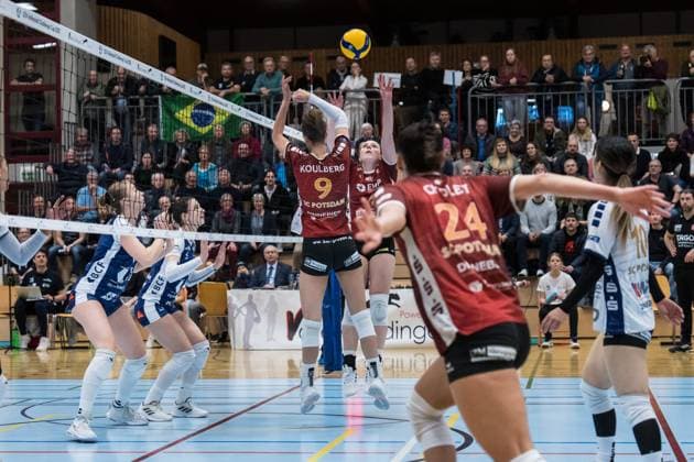 Volleyball CEV Challenge League: Volley Duedingen vs SC Potsdam; Duedingen , 27.11.2024 Jenna Ewert (Setter, SC Potsdam, 4) Volleyball CEV Challenge League: Volley Duedingen vs SC Potsdam in Duedingen , 27.11.2024 Copyright: xBEAUTIFULxSPORTS OlafxRellischx