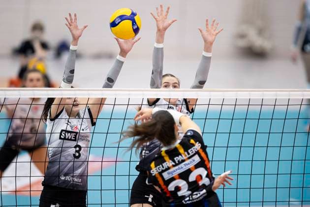 1. Volleyball Bundesliga Frauen: Schwarz-Weiss Erfurt vs. Allianz MTV Stuttgart; Erfurt; 30.11.2024 Maria Segura Palleres ( 33 Allianz MTV Stuttgart) gegen Ana Krulj ( 3; Schwarz-Weiss Erfurt) und Elizabeth Sandbothe ( 2; Schwarz-Weiss Erfurt) 1. Volleyball Bundesliga Frauen: Schwarz-Weiss Erfurt vs. Allianz MTV Stuttgart; Riethsporthalle Erfurt; 30.11.2024 Copyright: xBEAUTIFULxSPORTS Duehringx