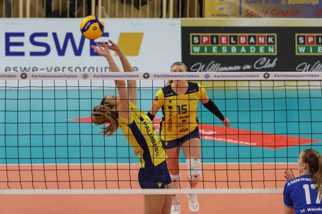 30.11.2024, xusrbx, Volleyball 1.Bundesliga Damen, VC Wiesbaden - SSC Palmberg Schwerin emspor, v.l. Karla Antunovic (SSC Palmberg Schwerin, 1), Elles Dambrink (SSC Palmberg Schwerin, 15), (DFL DFB REGULATIONS PROHIBIT ANY USE OF PHOTOGRAPHS as IMAGE SEQUENCES and or QUASI-VIDEO) Wiesbaden