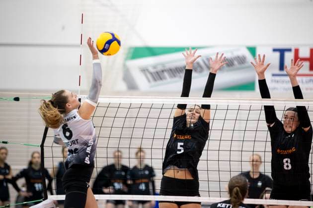 1. Volleyball Bundesliga Frauen: Schwarz-Weiss Erfurt vs. Ladies in Black Aachen; Erfurt; 07.12.2024 Kira Thomsen ( 6; Schwarz-Weiss Erfurt) gegen Jelena Novakovic ( 5; Ladies in Black Aachen) und Cara McKenzie ( 8; Ladies in Black Aachen) 1. Volleyball Bundesliga Frauen: Schwarz-Weiss Erfurt vs. Ladies in Black Aachent; Riethsporthalle Erfurt; 07.12.2024 Copyright: xBEAUTIFULxSPORTS Duehringx