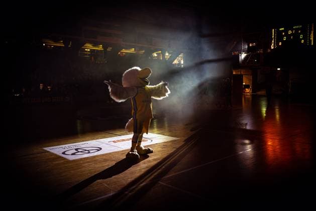 Basketball Berlin 07.12.2024 Saison 2024 2025 Toyota DBBL 1. Bundesliga Frauen, Damen Alba Berlin - Saarlouis Royals Albatros Maskottchen