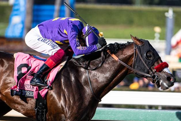 Sport Themen der Woche KW52 Sport Bilder des Tages December 26, 2024, Arcadia, California, USA: Raging Torrent (8) ridden by Lanfranco Dettori wins the Malibu Stakes (Grade 1) at Santa Anita Park in Arcadia, California on December 26, 2024. Jon Putman Eclipse Sportswire CSM Arcadia USA - ZUMAcs17 20241226_faf_cs17_001 Copyright: xJonxPutman EclipsexSportswire Csx
