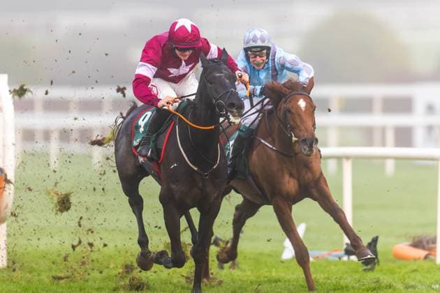 Sport Themen der Woche KW52 Sport Bilder des Tages REPRO FREE *PRESS RELEASE NO REPRODUCTION FEE* EDITORIAL USE ONLY 2024 Leopardstown Christmas Festival - Thursday, Leopardstown Racecourse, Dublin 27 12 2024 Sam Ewing on Wendrock wins The Paddy Power I Have No Idea What Day It Is 3-Y-O Maiden Hurdle ahead of JJ Slevin on Galileo Dame Sam Ewing on Wendrock wins 27 12 2024  Copyright: x INPHO MorganxTreacyx MT2_7937