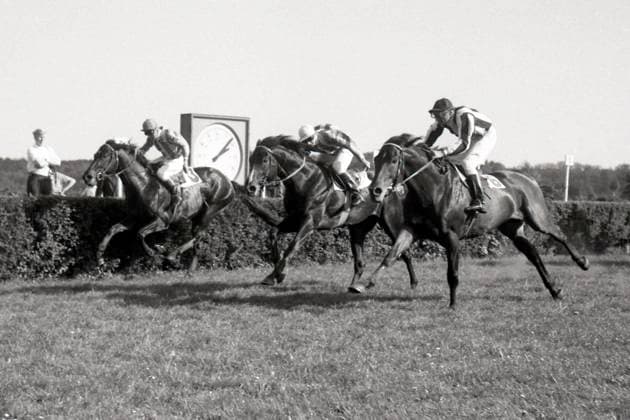 Archivbilder der Woche SPORT KW01 24.05.1964, Hoppegarten, Bezirk Strausberg, DDR - Mandant (rechts) mit Alexander Haremski gewinnt das Alchimist-Rennen. Galopprennbahn Hoppegarten. (Pferd, Jockey, Mandant, Haremski, Sieg, Ziel, Zielankunft, schwarz-weiss, s w, historisch) 640524A008HOPPEGARTEN.JPG *** 24 05 1964, Hoppegarten, district Strausberg, GDR client right with Alexander Haremski wins the Alchimist race race racecourse Hoppegarten horse, jockey, client, Haremski, victory, finish, finish, black white, s w, historical 640524A008HOPPEGARTEN JPG