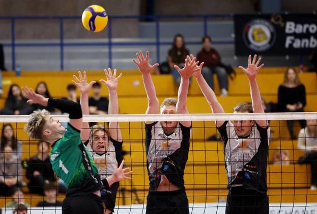 BAU 26.01.2025 Ludwigsburg Volleyball Barock Volleys MTV Ludwigsburg vs. TV Bühl, v.l. Erik Donner (Bühl), Ryan Slater (LB), Philipp Herrmann, Ben-Simon Bonin (LB)