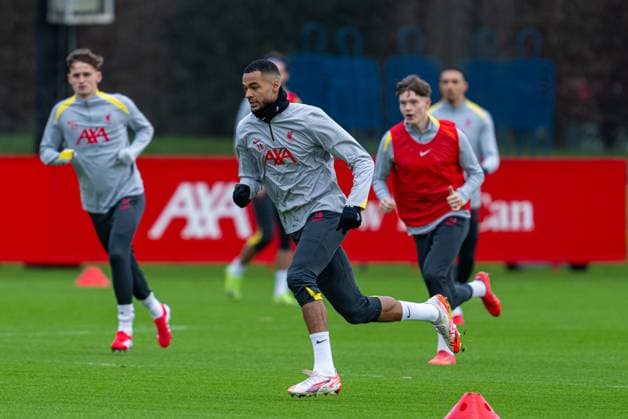 Football - UEFA Champions League - League Phase - PSV Eindhoven v Liverpool FC - MD-1 LIVERPOOL, ENGLAND - Tuesday, January 28, 2025: Liverpool s Cody Gakpo during a training session at the AXA Training Centre ahead of the UEFA Champions League match between PSV Eindhoven and Liverpool FC. (Photo by Jon Super Propaganda) LIVERPOOL AXA Training Centre MERSEYSIDE ENGLAND  Copyright: xDavidxRawcliffex P2025-01-28-PSV_Liverpool_MD-1-10
