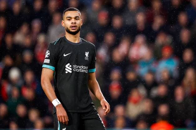 2025-01-29 PSV Eindhoven v Liverpool FC - UEFA Champions League 2024 25 League Phase MD8 EINDHOVEN, NETHERLANDS - JANUARY 29: Cody Gakpo of Liverpool FC looks on during the UEFA Champions League 2024 25 League Phase MD8 match between PSV Eindhoven and Liverpool FC at PSV Stadion on January 29, 2025 in Eindhoven, Netherlands. Eindhoven PSV Stadion Netherlands Content not available for redistribution in The Netherlands directly or indirectly through any third parties. Copyright: xBroerxvanxdenxBoomx
