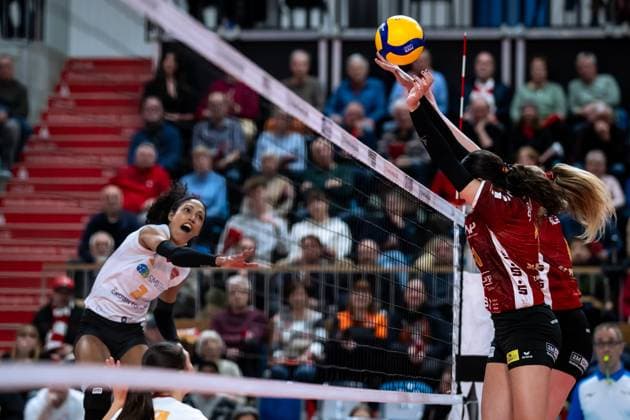 CEV Challenge Cup Halbfinale SC Potsdam - Roma Volley; 05.02.2025 CEV Challenge Cup SC Potsdam - Roma Volley Copyright: xBEAUTIFULxSPORTS NicolxMarschallx