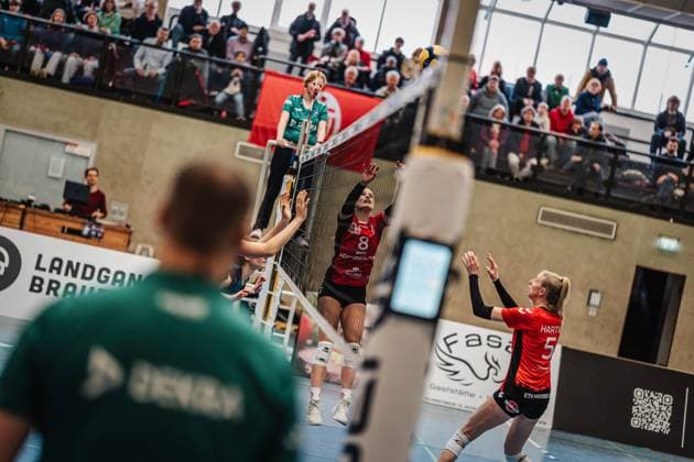 Volleyball Frauen Saison 2024 2025 2. Volleyball Bundesliga Frauen Pro ETV Hamburg vs. VCO Dresden 08.02.2025 Zoe Konjer ( 8, ETV Hamburg) beim Zuspiel Hamburg Lokstedter Steindamm 52 Hamburg Deutschland