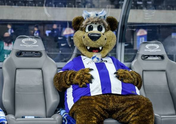 Sport Bilder des Tages Fussball 2.Bundesliga, Hertha BSC Berlin - 1.FC Kaiserslautern 08.02.2025, xdanx, Fussball 2.Bundesliga, Hertha BSC Berlin - 1.FC Kaiserslautern emspor, v.l. Maskottchen Herthino sitzend auf der Auswechsel Bank (DFL DFB REGULATIONS PROHIBIT ANY USE OF PHOTOGRAPHS as IMAGE SEQUENCES and or QUASI-VIDEO) Daniel Lakomski Mix1 Berlin Olympiastadion Berlin Deutschland (DEU)