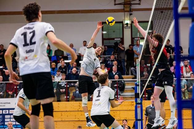 09.02.2025, GER, Volleyball, 2.BL Maenner Sued, Saison 2024 2025, Blue Volleys Gotha - Barock Volleys MTV Ludwigsburg Erik Niederluecke (Blue Volleys Gotha) 99867 Gotha Sporthalle Sportanlage Ernesti Thüringen Deutschland