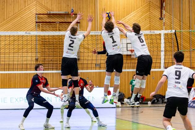 09.02.2025, GER, Volleyball, 2.BL Maenner Sued, Saison 2024 2025, Blue Volleys Gotha - Barock Volleys MTV Ludwigsburg Mykyta Shapovalov (Barock Volleys MTV Ludwigsburg) Richard Werner (Blue Volleys Gotha) Justus Krausse (Blue Volleys Gotha) Erik Niederluecke (Blue Volleys Gotha) 99867 Gotha Sporthalle Sportanlage Ernesti Thüringen Deutschland
