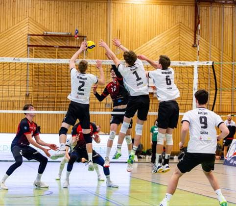 09.02.2025, GER, Volleyball, 2.BL Maenner Sued, Saison 2024 2025, Blue Volleys Gotha - Barock Volleys MTV Ludwigsburg Mykyta Shapovalov (Barock Volleys MTV Ludwigsburg) Richard Werner (Blue Volleys Gotha) Justus Krausse (Blue Volleys Gotha) Erik Niederluecke (Blue Volleys Gotha) 99867 Gotha Sporthalle Sportanlage Ernesti Thüringen Deutschland
