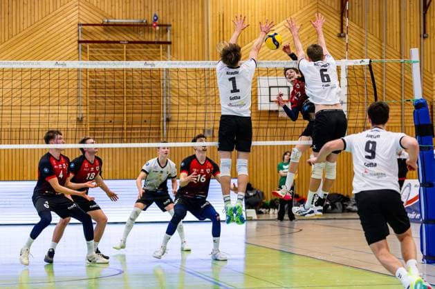 09.02.2025, GER, Volleyball, 2.BL Maenner Sued, Saison 2024 2025, Blue Volleys Gotha - Barock Volleys MTV Ludwigsburg Mykyta Shapovalov (Barock Volleys MTV Ludwigsburg) Justus Krausse (Blue Volleys Gotha) Erik Niederluecke (Blue Volleys Gotha) 99867 Gotha Sporthalle Sportanlage Ernesti Thüringen Deutschland