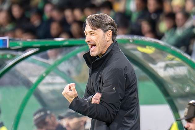 11.02.2025, Fussball: UEFA Champions League, Saison 2024 2025, Play Offs, Hinspiel, Sporting CP Lissabon - Borussia Dortmuna im Estadio Jose Alvalade in Lissabon. Dortmunds Trainer Niko Kovac reagiert. Foto: Kirchner-Media Thomas Haesler WICHTIGER HINWEIS: Gemäß den Vorgaben der UEFA ist es untersagt, in dem Stadion und oder vom Spiel angefertigte Fotoaufnahmen in Form von Sequenzbildern und oder videoähnlichen Fotostrecken zu verwerten bzw. verwerten zu lassen. Copyright: xKirchner-Media ThomasxHaeslerx