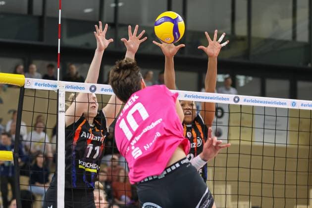 Wiesbaden, Deutschland 12. Februar 2025: 1. VBL - Frauen - 2024 2025 - VC Wiesbaden vs. Allianz MTV Stuttgart Im Bild: Pauline Martin (Allianz MTV Stuttgart, 11), Breland Morrissette (Allianz MTV Stuttgart, 2), Olivia Rusek (VC Wiesbaden, 10), Halle am Platz der deutschen Ein Berlin Copyright: xFotostandx xUlrichxScherbaumx
