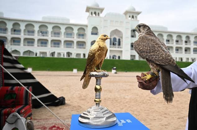 Qatar ExxonMobil Open 2025 Photostunt at Katara Beach , Doha Qatar Grigor Dimitrov (BUL), Novak Djokovic (SRB) , Carlos Alcaraz (ESP) and Stefanos Tsitsipas (GRE)