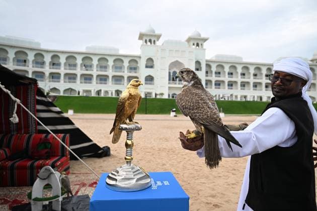 Qatar ExxonMobil Open 2025 Photostunt at Katara Beach , Doha Qatar Grigor Dimitrov (BUL), Novak Djokovic (SRB) , Carlos Alcaraz (ESP) and Stefanos Tsitsipas (GRE)