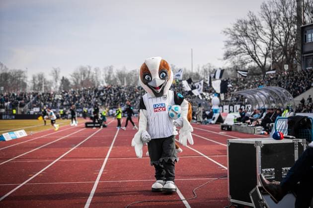 Sport Themen der Woche KW08 Sport Bilder des Tages Fußball - Herren - 2. Bundesliga - 23. Spieltag - Saison 2024 2025 - SSV Ulm 1846 Fußball vs. SV Elversberg 22.02.2025 Maskottchen Albert (SSV Ulm 1846 Fußball) DFL regulations prohibit any use of photographs as image sequences and or quasi-video Ulm Donaustadion Baden-Württemberg Deutschland *** Soccer Men 2 Bundesliga 23 Matchday Season 2024 2025 SSV Ulm 1846 Soccer vs SV Elversberg 22 02 2025 Mascot Albert SSV Ulm 1846 Soccer DFL regulations prohibit any use of photographs as image sequences and or quasi video Ulm Donaustadion Baden Württemberg Germany