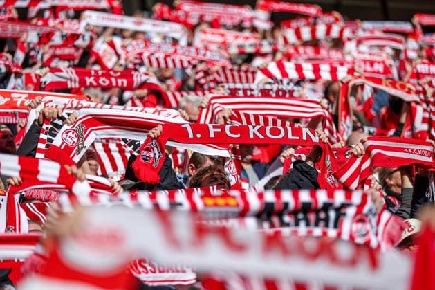 23.02.2025, Fußball, 1. FC Köln - Fortuna Düsseldorf, 2.. Fußball Bundesliga, 23. Spieltag, RheinEnergie-STADION, Saison 2024 2025: Feature Schalparade FC Köln Fanschal Fanschals Schal Sybolbild Fans Zuschauer Besucher Fan Detail Detailaufnahme Nahaufnahme DFB regulations prohibit any use of photographs as image sequences and or quasi-video. Nordrhein-Westfalen Deutschland