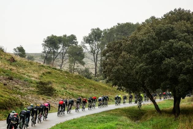 The pack of riders pictured in action during stage six of the 83th edition of the Paris-Nice cycling race, 209,8 km from Saint-Julien-en-Saint-Alban to Berre l Etang, France, Friday 14 March 2025. DAVIDxPINTENS  x114935672x