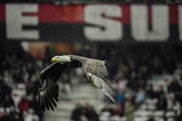 FOOTBALL : OGC Nice vs AJ Auxerre - ligue 1 - 14 3 25 Mefi during the during the French L1 football match between OGC Nice and AJ Auxerre at Allianz Riviera Stadium of Nice, south France, on March 14, 2025. NICEFrance  Copyright: xfredxDIDES psnewzx