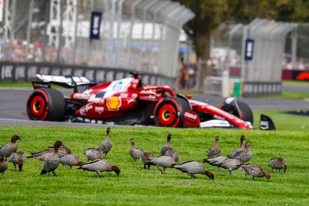 F1 - AUSTRALIAN GRAND PRIX 2025 16 LECLERC Charles (mco), Scuderia Ferrari SF-25, ambiance during the Formula 1 Louis Vuitton Australian Grand Prix 2025, 1st round of the 2025 FIA Formula One World Championship, WM, Weltmeisterschaft from March 14 to 16, 2025 on the Albert Park Grand Prix Circuit, in Melbourne, Australia - MelbourneAustralia  Copyright: xJoaoxFilipex