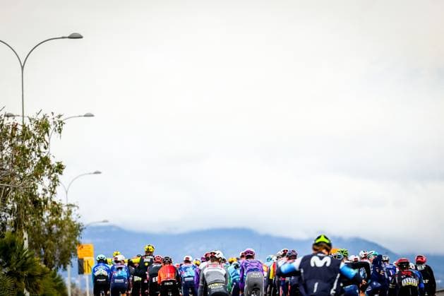 The pack of riders pictured in action during stage seven of the 83th edition of the Paris-Nice cycling race, 147,8 km from Nice to Auron, France, Saturday 15 March 2025. DAVIDxPINTENS  x114997583x