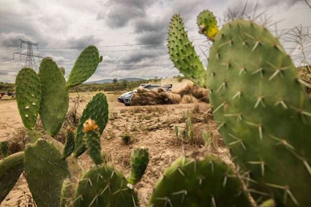 Bilder des Jahres 2025, Sport 03 März Sport Themen der Woche KW12 Sport Bilder des Tages AUTO - WRC, Motorsport Rallye, WM - SAFARI RALLY KENYA 2025 20 Oliver SOLBERG, Elliot EDMONDSON, Toyota Yaris Rally2, action during the 2025 Safari Rally Kenya, 3rd round of the 2025 WRC World Rally Car Championship, from March 20 to 23, 2025 at Nairobi, Kenya - NairobiKenya  Copyright: xNikosxKatikisx