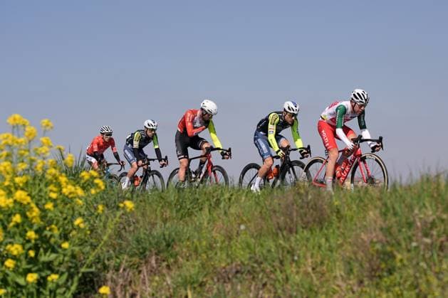 The pack rides cycles during the men s elite race of the Milano-Torino one day cycling race (174km) from Rho to Torino (Superga) - North West Italy- Wednesday, March 19, 2025. - cycling .  Copyright: xMarcoxAlpozzi LaPressex