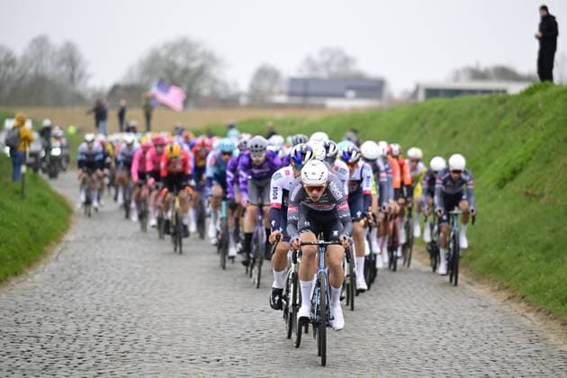 The chasing peleton pictured on the Holleweg during the E3 Saxo Bank Classic one day cycling race, 208,8 km from and to Harelbeke, on Friday 28 March 2025. DIRKxWAEM  x116498525x
