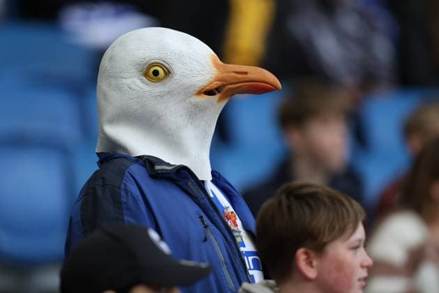 Sport Themen der Woche KW13 Sport Bilder des Tages Brighton, England, March 29th 2025: Brighton & Hove Albion fan wearing a seagull mask during the FA Cup match between Brighton & Hove Albion and Nottingham Forest at the American Express Stadium in Brighton, England (Alexander Canillas SPP)  Copyright: xAlexanderxCanillas SPPx spp-en-AlCa-9U2A8614