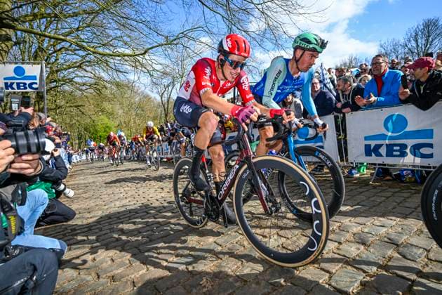Gent - Wevelgem in Flanders Fields 2025 WEVELGEM, BELGIUM - MARCH 30 : Segaert Alec (BEL) of Lotto in action pictured during 87th edition of the UCI World Tour Gent - Wevelgem in Flanders Fields cycling race for Men Elite with start in Ieper and finish in Wevelgem after 250 km on March 30, 2025 in Wevelgem, Belgium, 30 03 2025 ( Motordriver Guy De Vuyst - Wevelgem Belgium  Copyright: xNicoxVereeckenx
