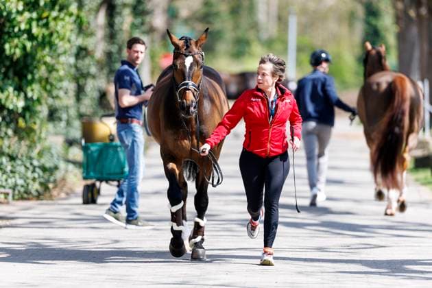 Sport Bilder des Tages BASEL - FEI World Cupâ ¢ Finals 2025, BASEL - FEI World Cupâ ¢ Finals 2025 WERTH Isabell (GER), Dsp Quantaz Impression am Rande Horse inspection CDI-W Basel, St. Jakobshalle 03. April 2025 - *** BASEL FEI World Cupâ ¢ Finals 2025, BASEL FEI World Cupâ ¢ Finals 2025 WERTH Isabell GER , Dsp Quantaz Impression on the sidelines Horse inspection CDI W Basel, St Jakobshalle 03 April 2025