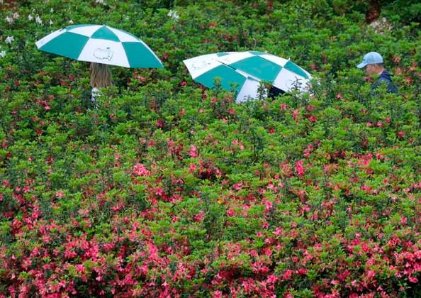 Patrons tour the coarse holding umbrellas in the rain during a practice round with a weather warning in place before it is announced that play is suspended due to an approaching thunder storm with lightning in the area at the Masters Tournament at Augusta National Golf Club in Augusta, Georgia on Monday, April 7, 2025.  AUG20250407107 JOHNxANGELILLO