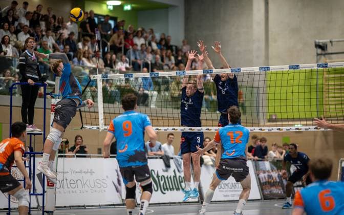 Volleyball, Saison 2024 2025, 2. Bundesliga Nord, 12.04.2025, 23. Spieltag, Herren, TuB Bocholt (dunkelblau) vs. Muenster Volleys (hellblau) v.l.: Kaijie Zhang (Libero Muenster Volleys), Lea Becker (1. Schiedsrichterin), Dominik Rutke (Muenster Volleys), Niklas Kotte (Muenster Volleys), Noah van Dam (TuB Bocholt), Tobias John (TuB Bocholt), Tim Wahl (Muenster Volleys, 12), Bocholt Sporthalle West Nordrhein-Westfalen Deutschland