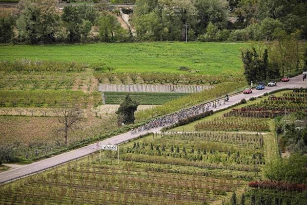 The pack rides during the Giro d™Abruzzo, stage from Scerni to Crecchio (151 km) - Abruzzo, Italy- Tuesday, April 15, 2024. - cycling .  Copyright: xMarcoxAlpozzi LaPressex