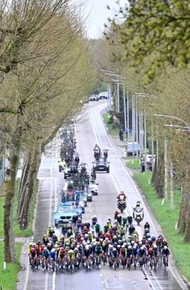 Ronde van Limburg 2025 - Men Elite TONGEREN, BELGIUM - APRIL 16 : illustration picture peloton pictured during the 77th edition of the Ronde van Limburg, an UCI Individual Road cycling, Rad, Radsport, Strasse race with start in Hasselt and finish in Tongeren after 178,6 km, organized by Flanders Classics on April 16, 2025 in Tongeren, Belgium, 16 04 2025 Tongeren Belgium Copyright: xJanxDexMeuleneirx