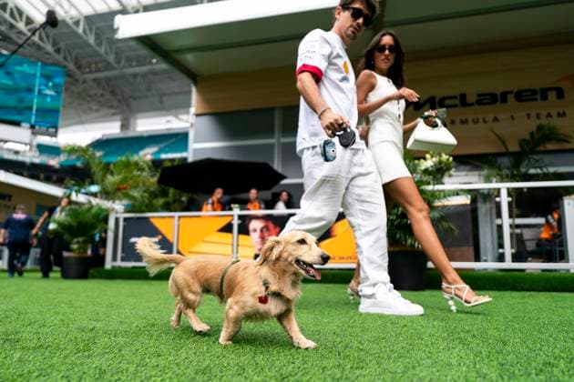 Sport Bilder des Tages Monaco s Formula One driver Charles Leclerc of Scuderia Ferrari and Alexandra Saint Mleux accompanied by Leclerc s dog Leo arrive during the Formula One Miami Grand Prix at the Miami International Autodrome in Miami Gardens, Florida on Saturday, May 3, 2025.  MIA2025050309 GREGxNASH