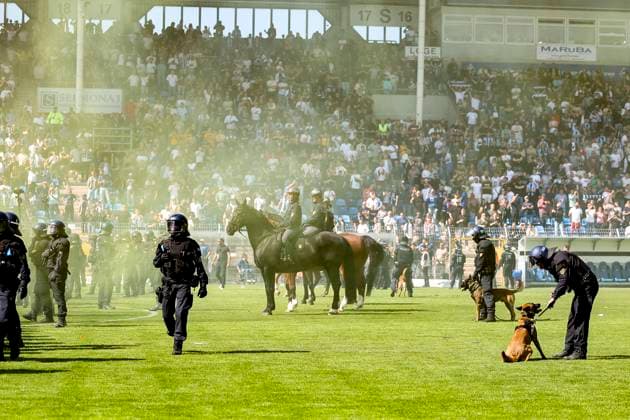 Polizei Reiterstaffel auf dem Platz , Fussball, 3.Liga, 37.Spieltag, 2024 2025, SV Waldhof Mannheim vs. Dynamo Dresden, 10.05.2025, Carl-Benz-Stadion, Mannheim, Deutschland DFB REGULATIONS PROHIBIT ANY USE OF PHOTOGRAPHS AS IMAGE SEQUENCES AND OR QUASI-VIDEO. Mannheim Carl-Benz-Stadion Baden-Württemberg Deutschland
