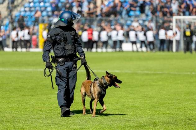 Polizist mit Polizeihund auf dem Platz nach dem Spiel , Fussball, 3.Liga, 37.Spieltag, 2024 2025, SV Waldhof Mannheim vs. Dynamo Dresden, 10.05.2025, Carl-Benz-Stadion, Mannheim, Deutschland DFB REGULATIONS PROHIBIT ANY USE OF PHOTOGRAPHS AS IMAGE SEQUENCES AND OR QUASI-VIDEO. Mannheim Carl-Benz-Stadion Baden-Württemberg Deutschland