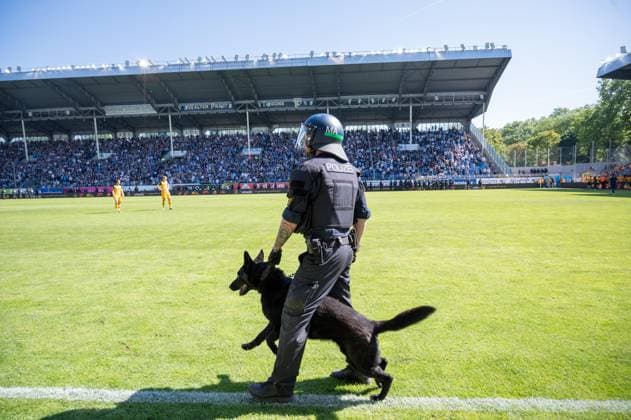 10.05.2025, xhfmx, Fussball 3.Liga, SV Waldhof Mannheim - Dynamo Dresden Ein Polizist mit einem Hund kommt aufs Spielfeld. (DFL DFB REGULATIONS PROHIBIT ANY USE OF PHOTOGRAPHS as IMAGE SEQUENCES and or QUASI-VIDEO) Mannheim