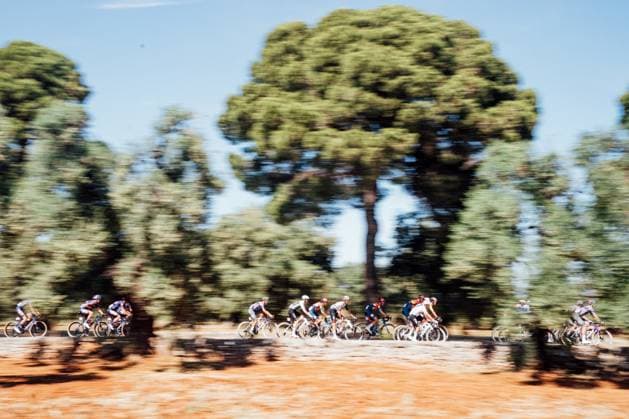 2025 Giro d Italia Stage 4 Picture by Zac Williams SWpix.com - 13 05 2025 - Cycling - 2025 Giro d Italia Stage 4, Alberobello to Lecce, Italy - The peloton during the stage. Copyright: x xSWpix.comx(t axPhotographyxHubxLtd)xZacxWilliams SWpix.comx SWP-2645